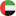 UAE Flag